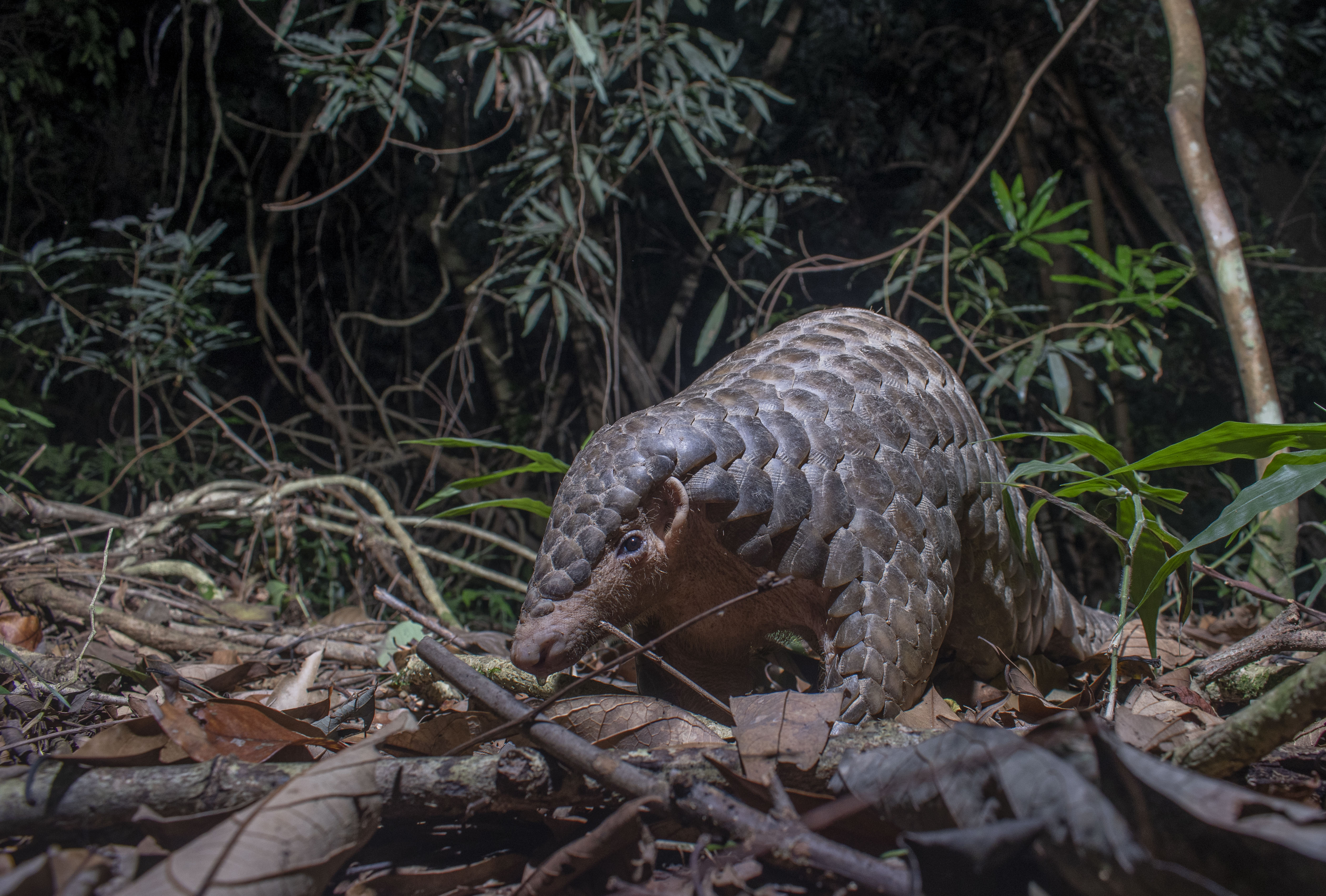 物件照片的縮圖
