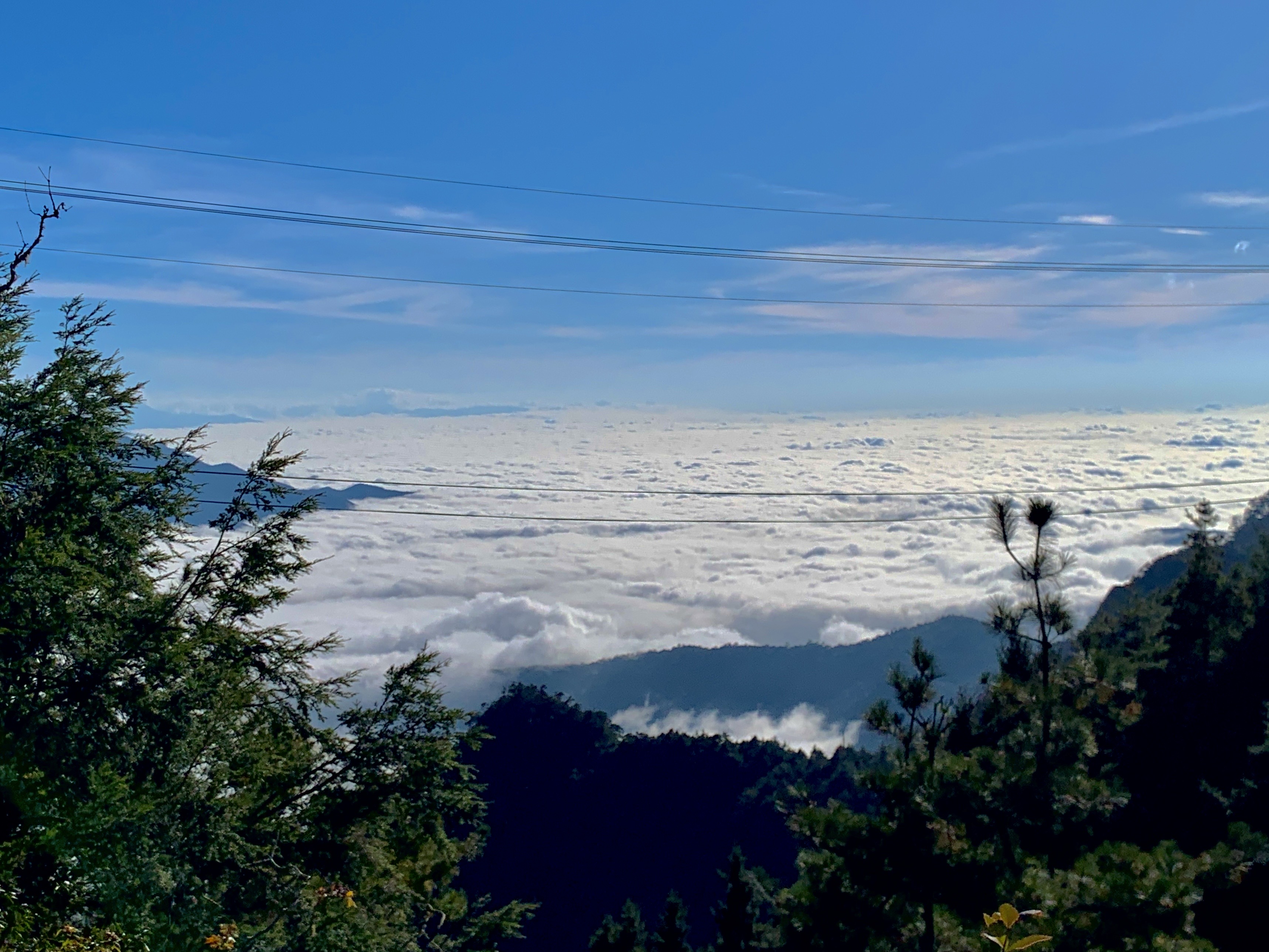 物件照片的詳細放大
