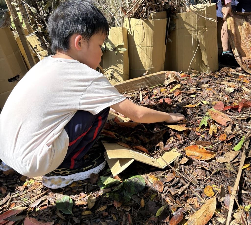 物件照片的縮圖