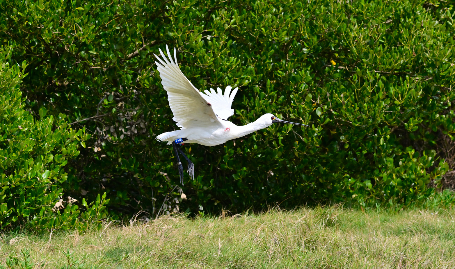 物件照片的詳細放大