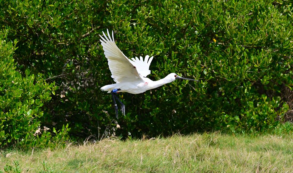 物件照片的縮圖