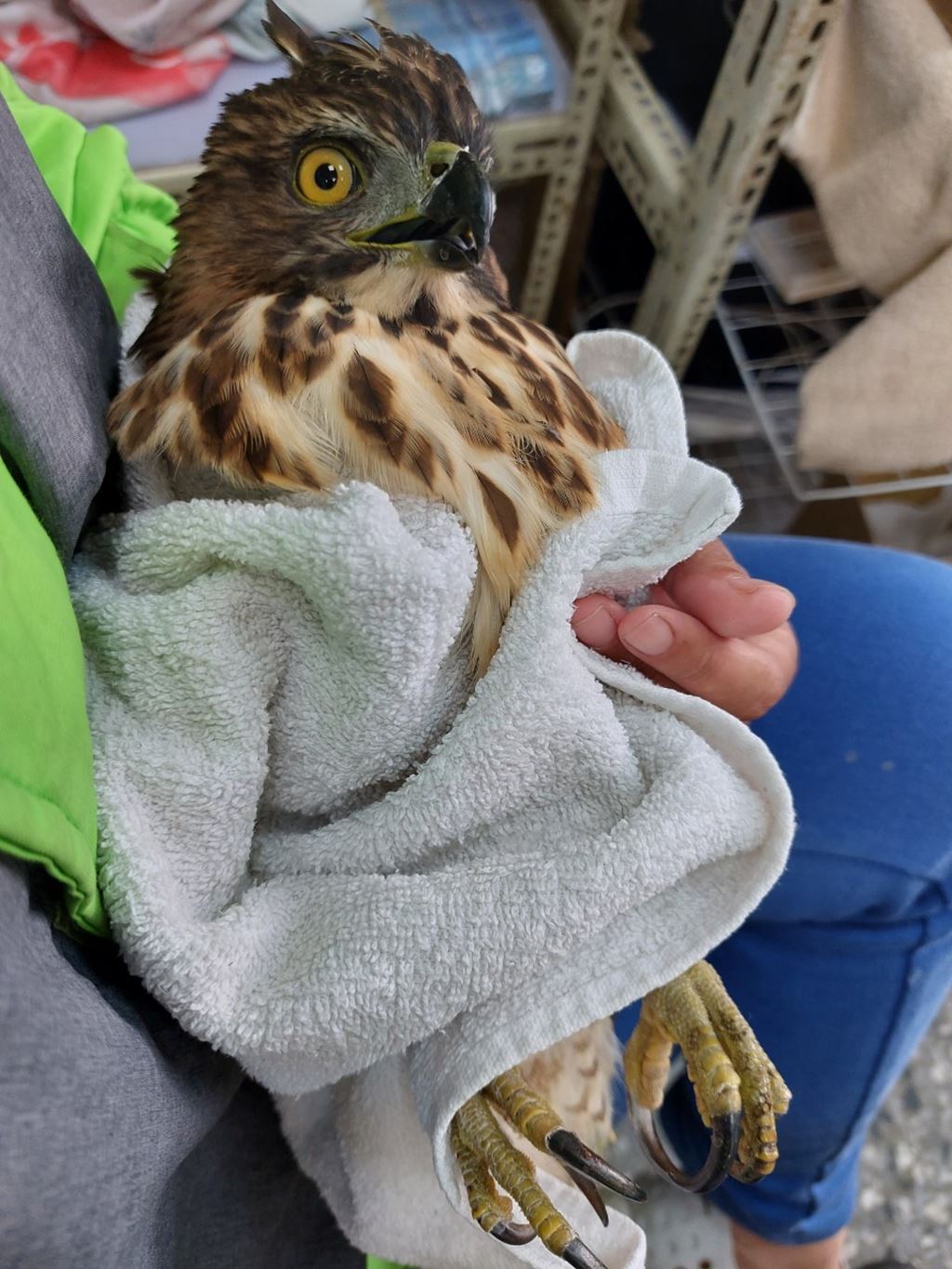 物件照片的縮圖