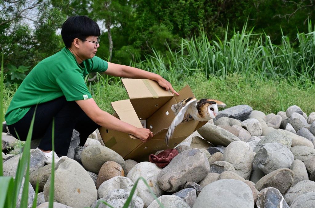 物件照片的縮圖