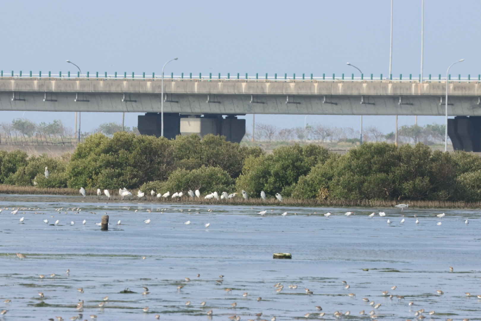 物件照片的詳細放大