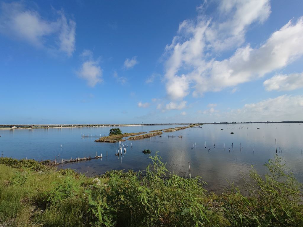 物件照片的縮圖