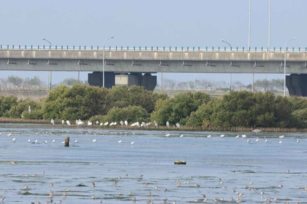 物件照片的縮圖