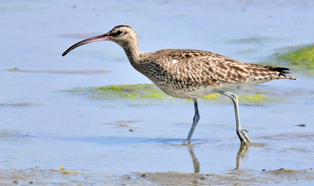 物件照片的縮圖