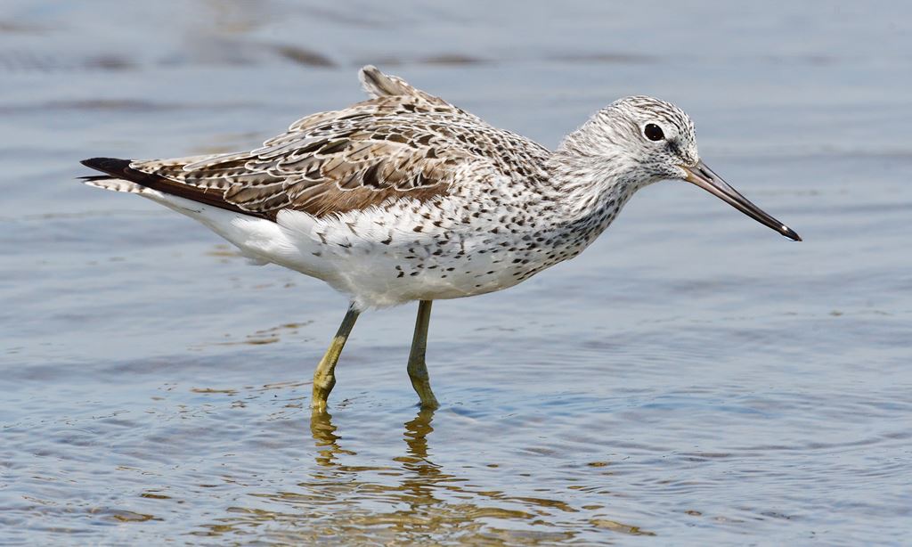 物件照片的縮圖