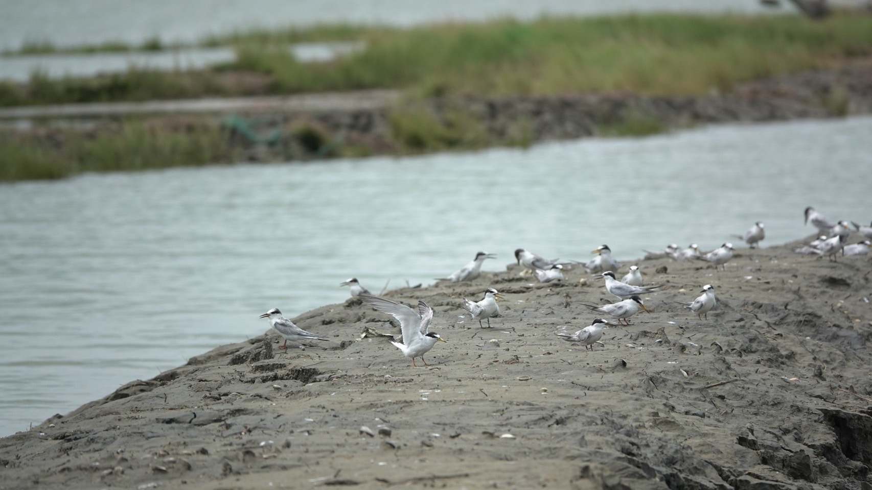 物件照片的詳細放大