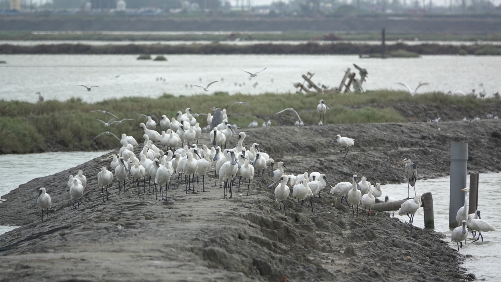 物件照片的詳細放大