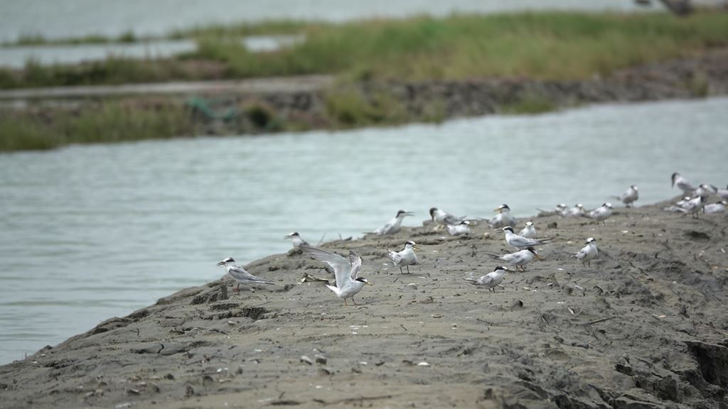 物件照片的縮圖