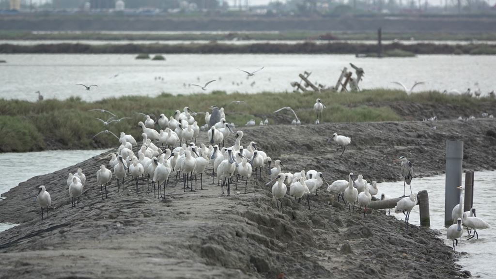 物件照片的縮圖
