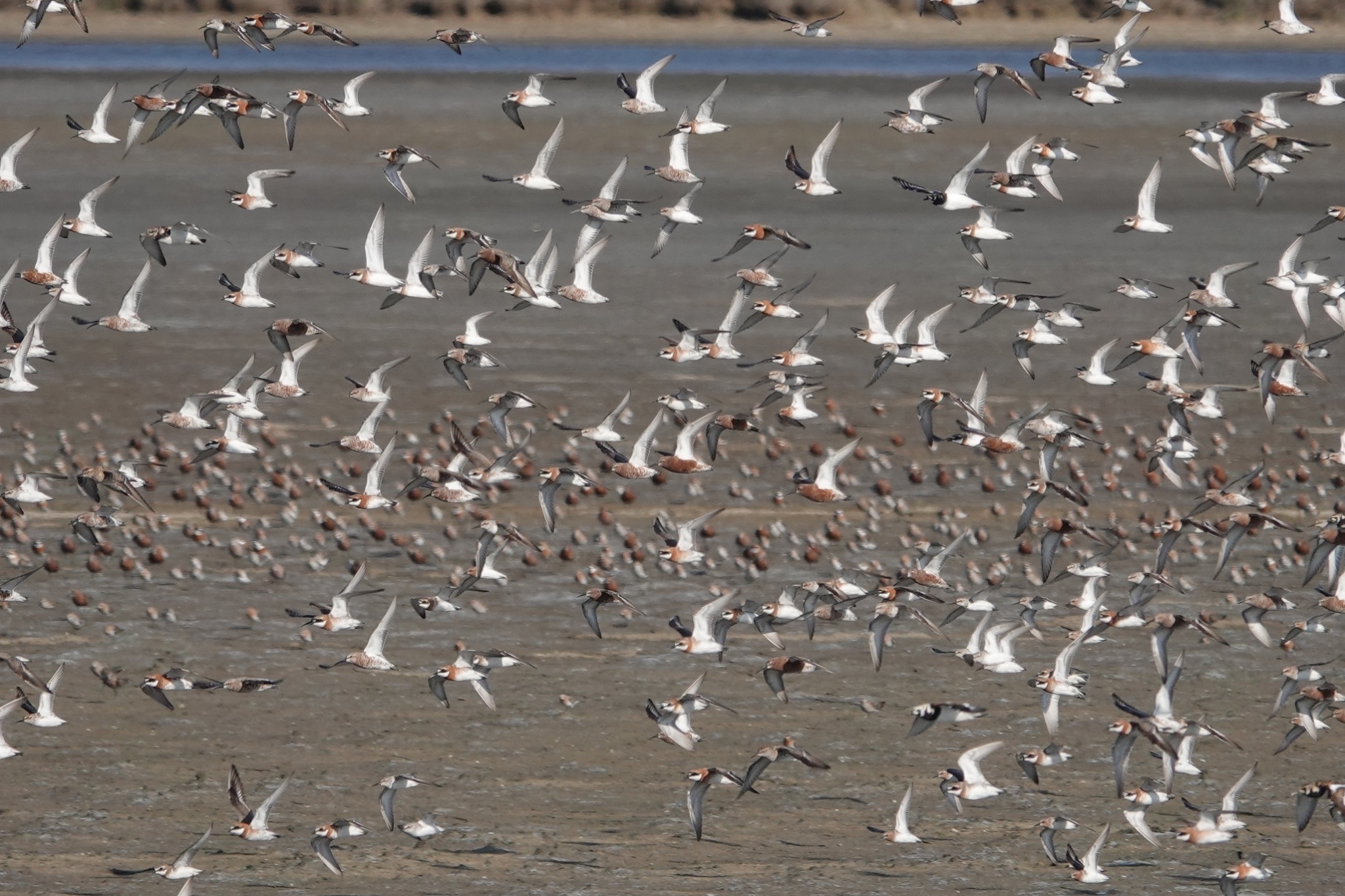 物件照片的詳細放大