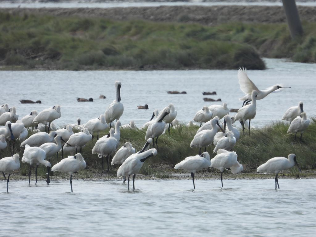 物件照片的縮圖