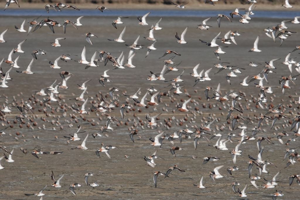 物件照片的縮圖