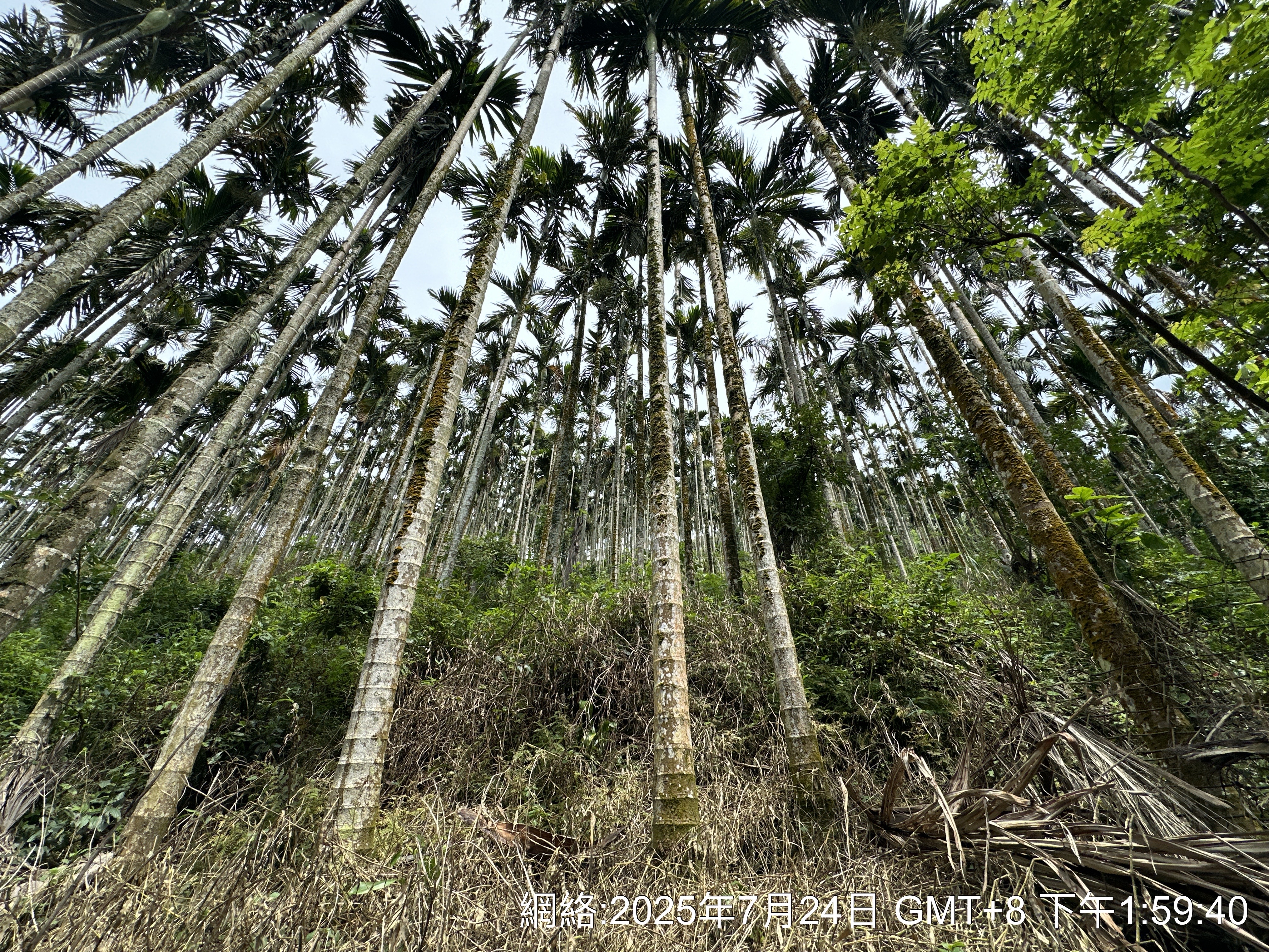 物件照片的詳細放大