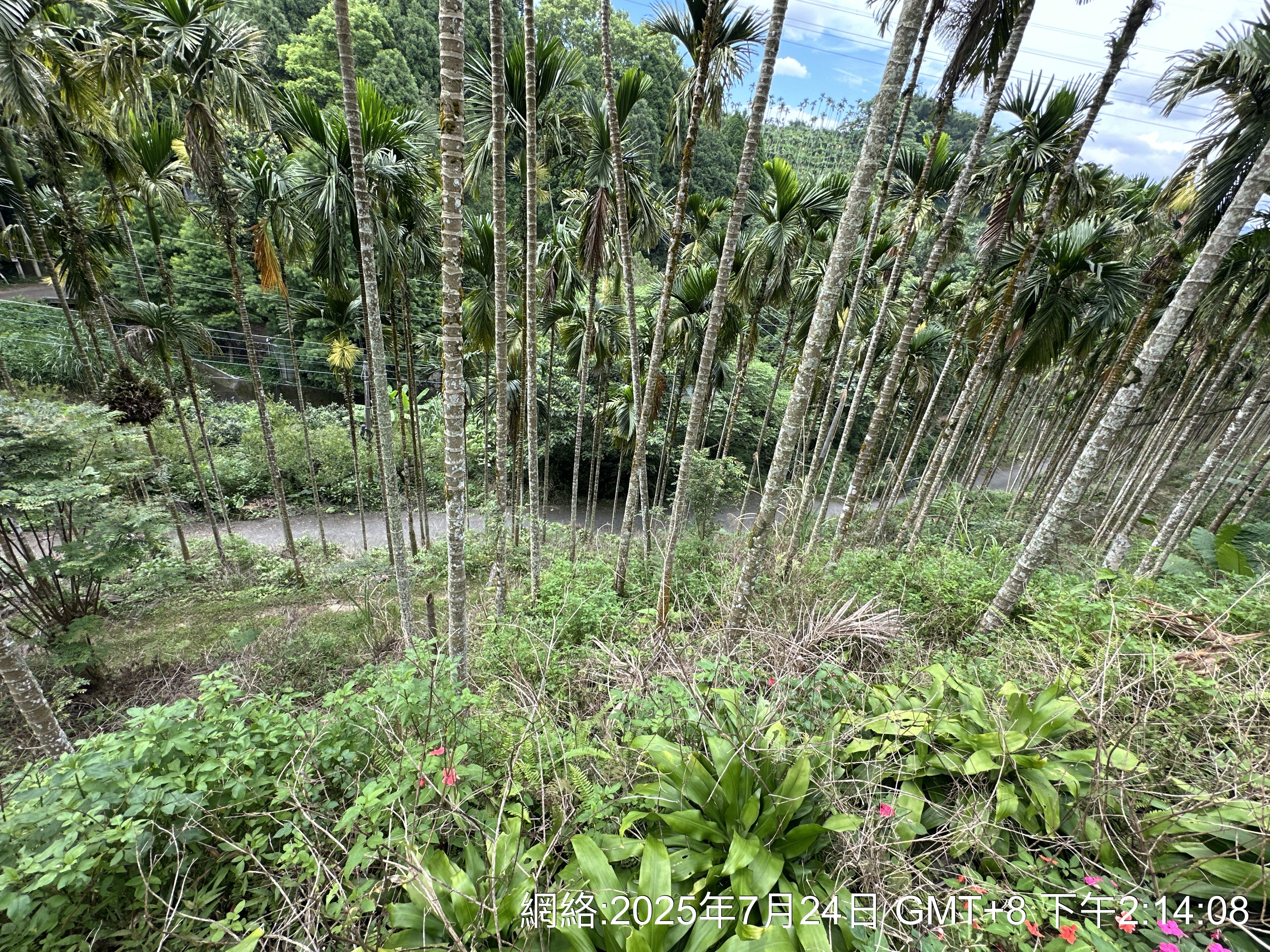 物件照片的詳細放大