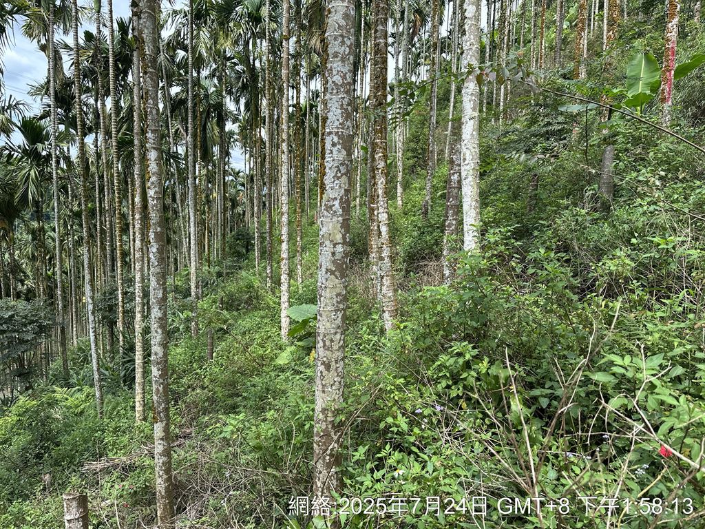 物件照片的縮圖