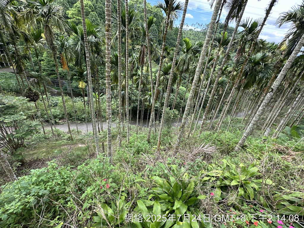 物件照片的縮圖