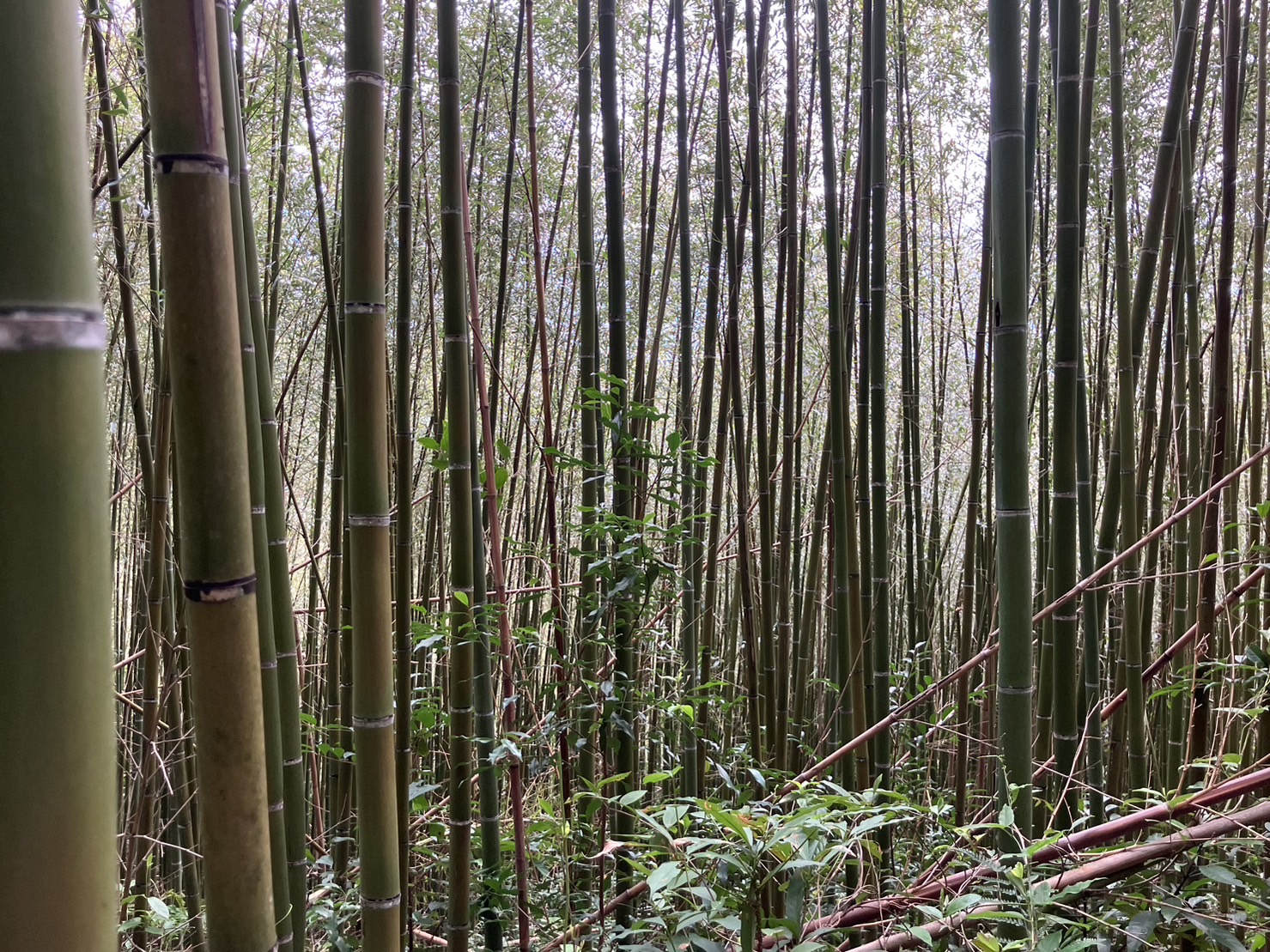 物件照片的詳細放大