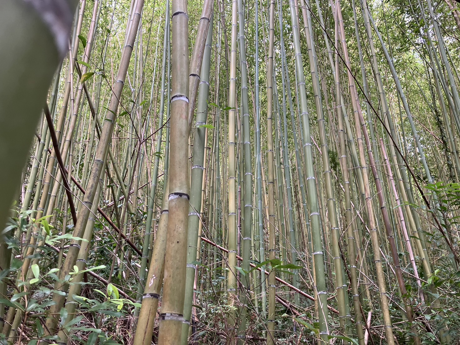 物件照片的詳細放大