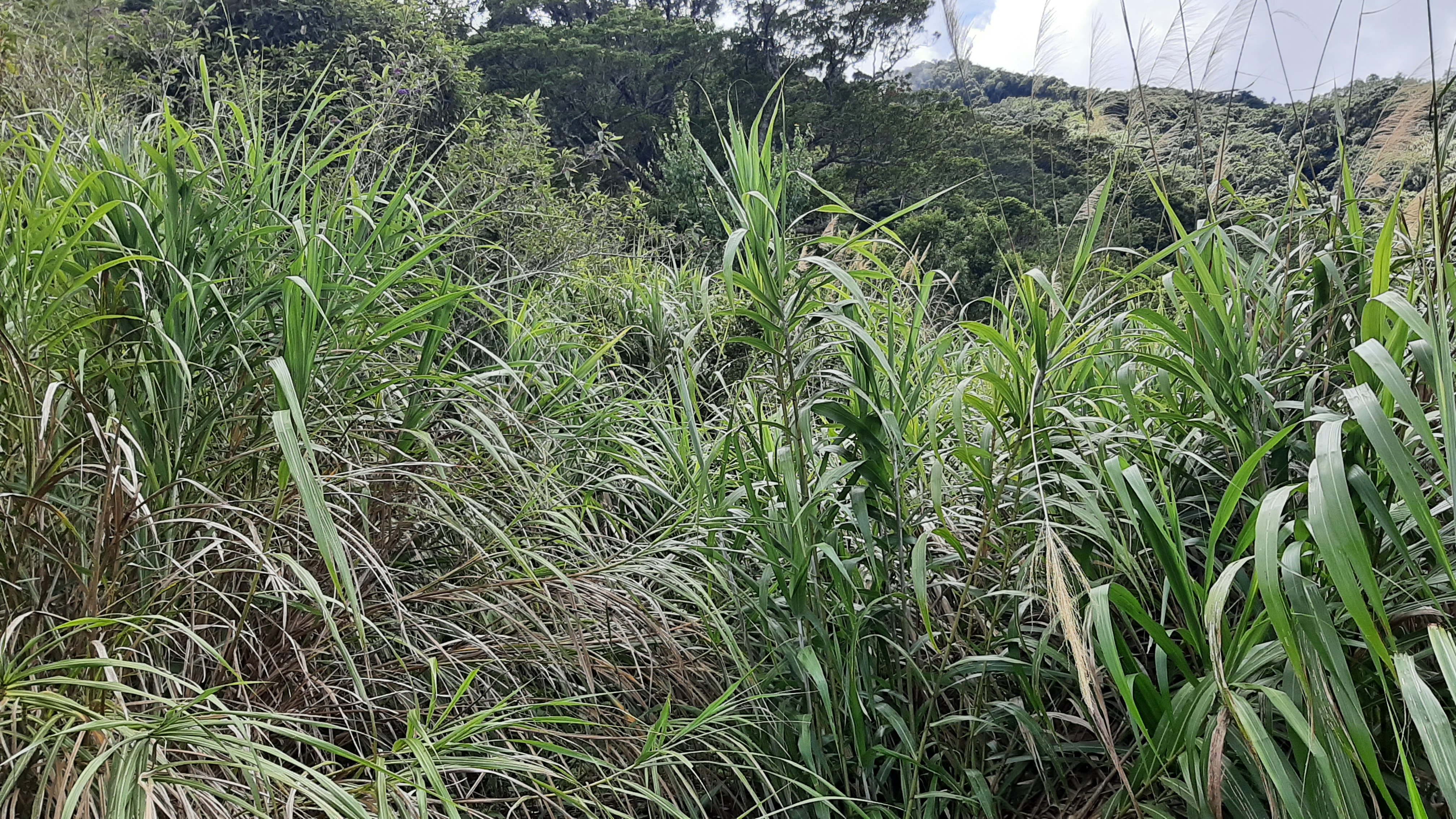 物件照片的詳細放大