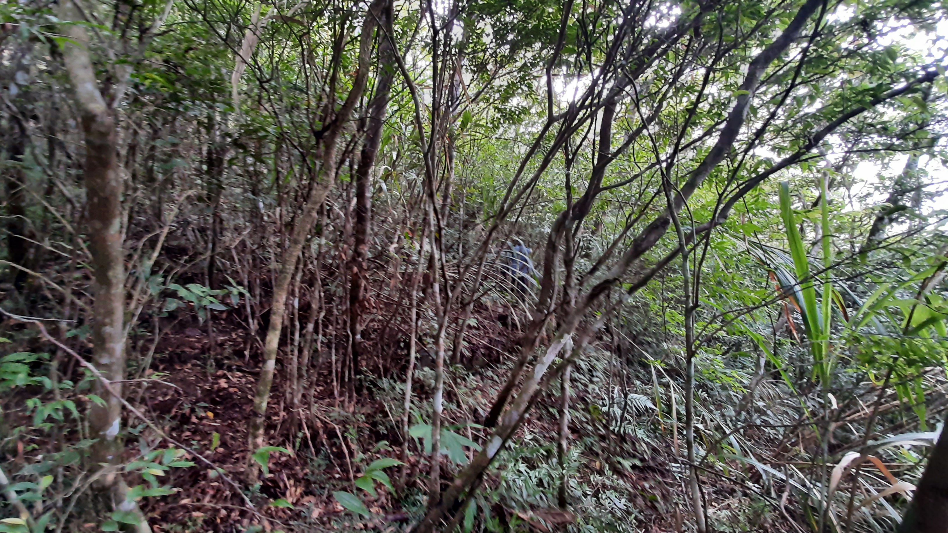 物件照片的詳細放大