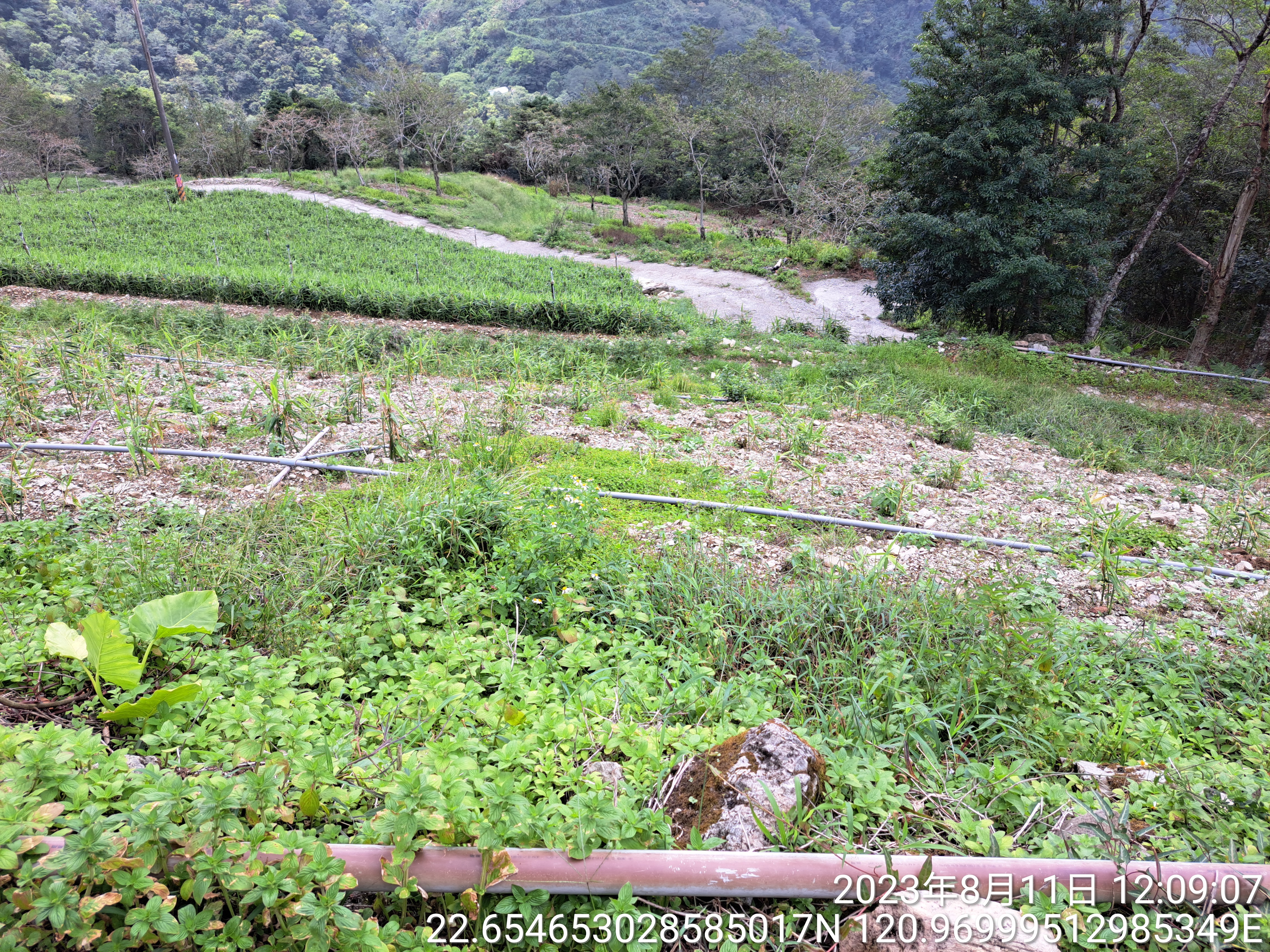 物件照片的詳細放大