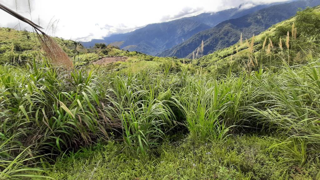 物件照片的縮圖