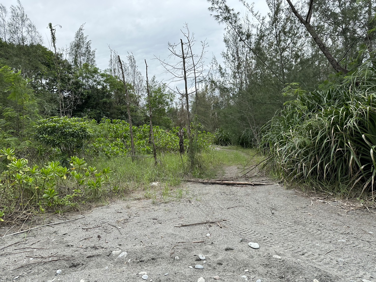 物件照片的詳細放大