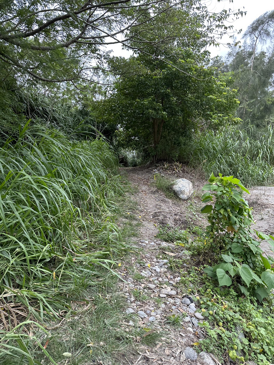 物件照片的詳細放大