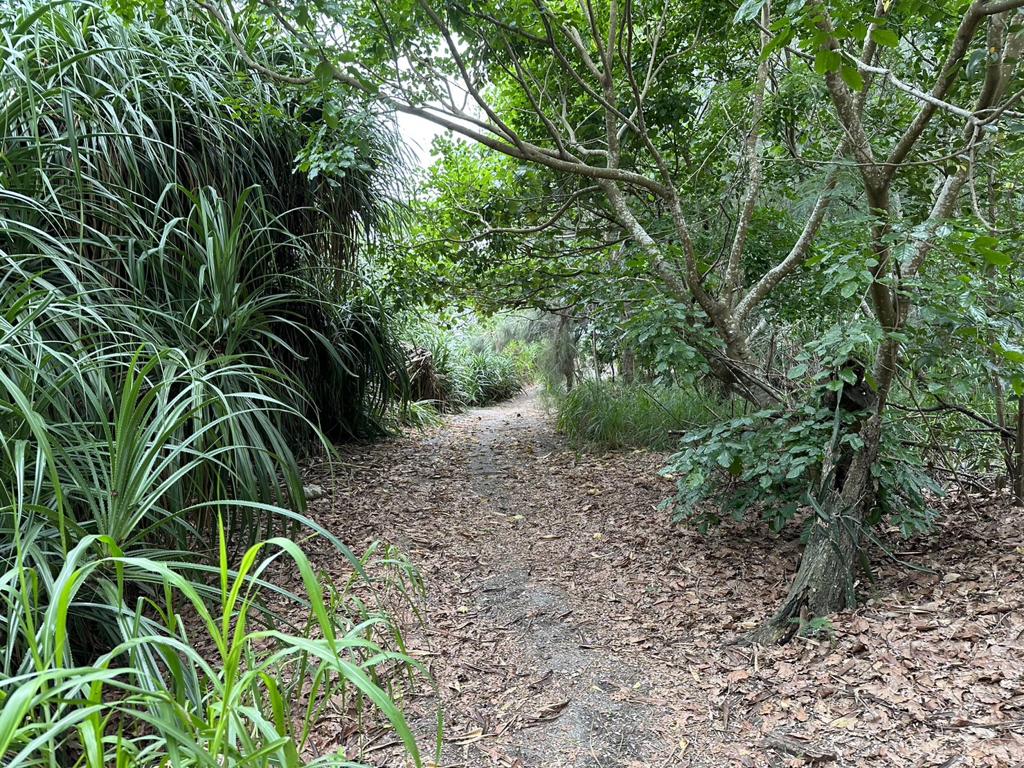 物件照片的縮圖