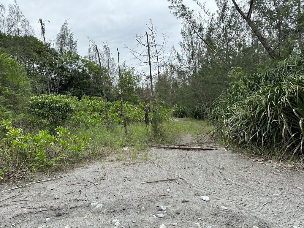 物件照片的縮圖