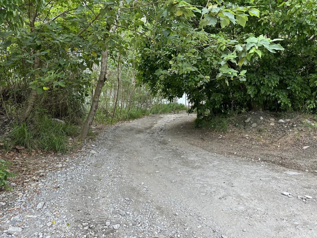 物件照片的縮圖