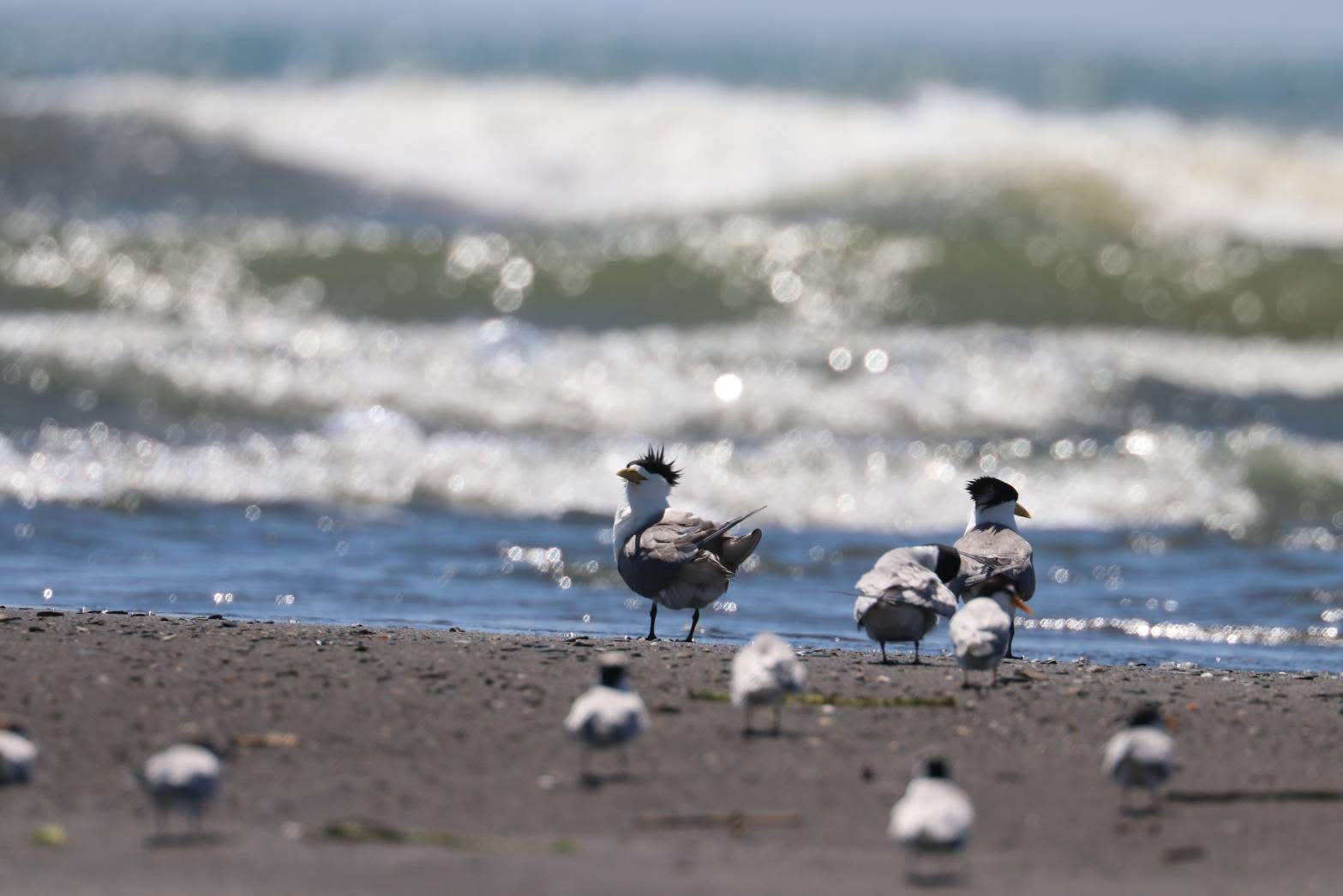 物件照片的詳細放大