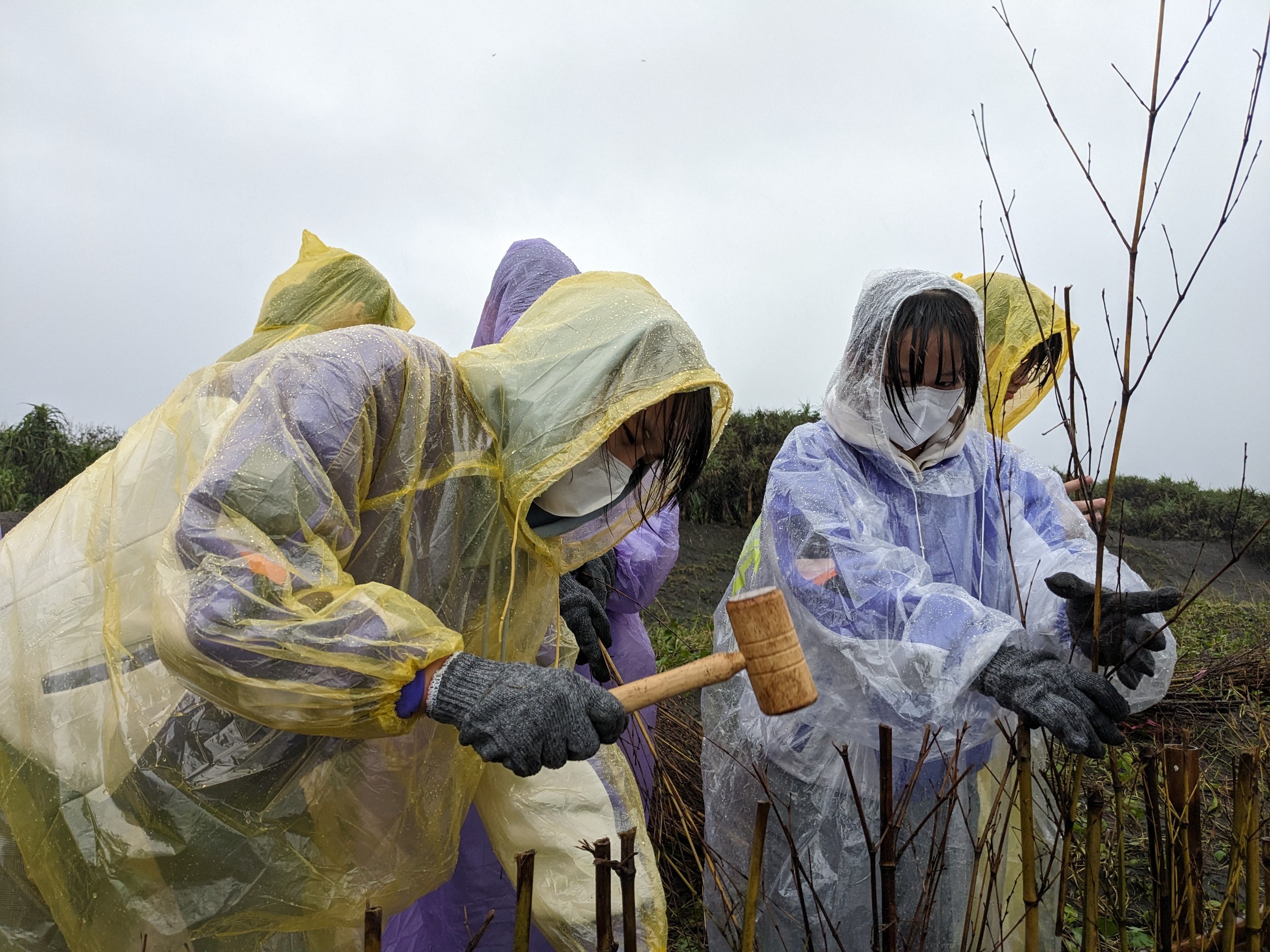 物件照片的詳細放大
