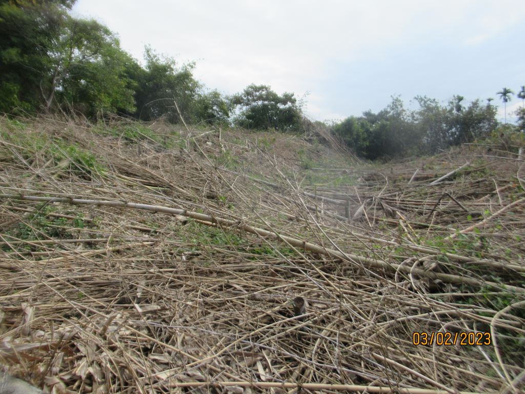 物件照片的縮圖