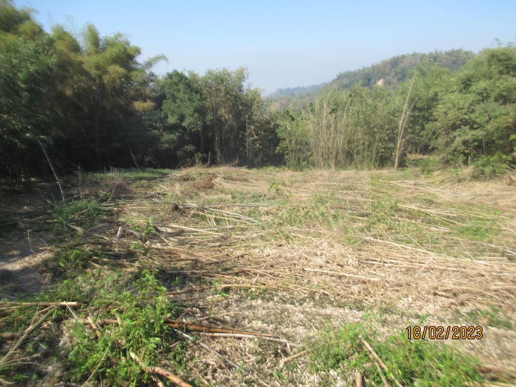 物件照片的縮圖