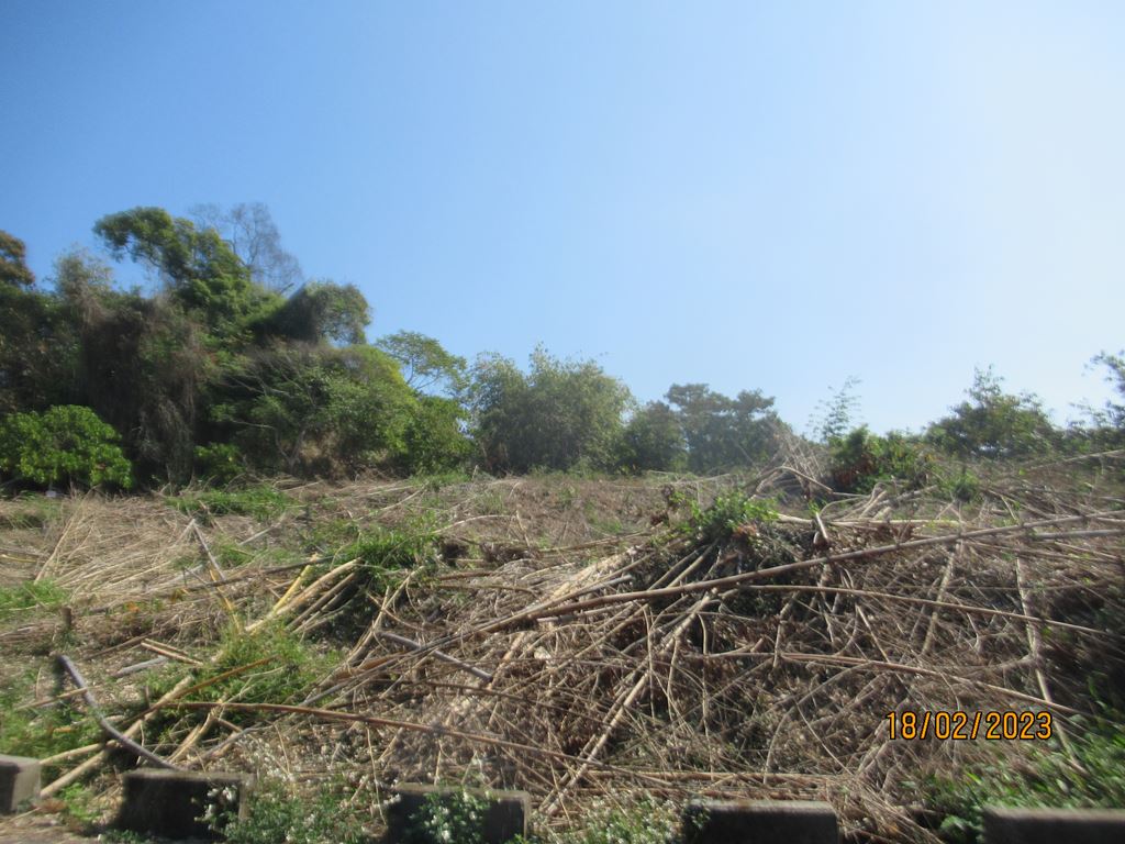 物件照片的縮圖