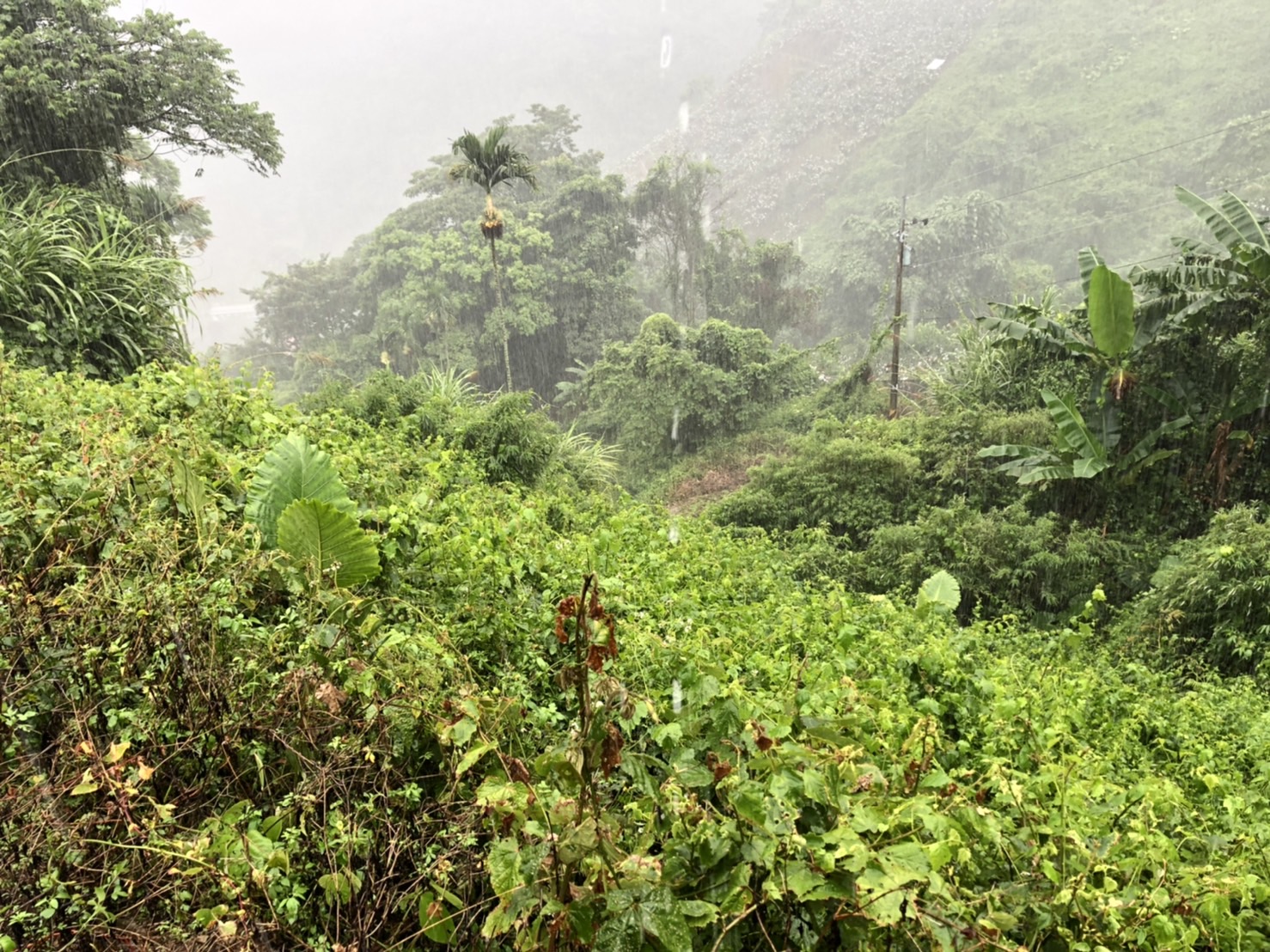 物件照片的詳細放大