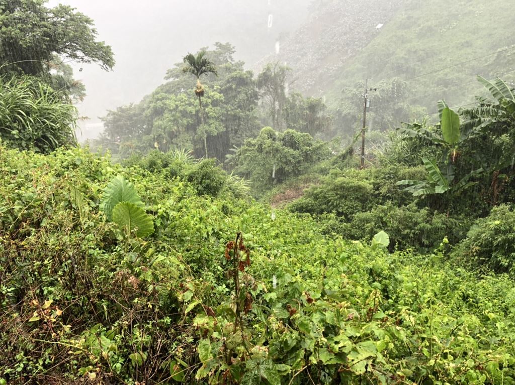 物件照片的縮圖