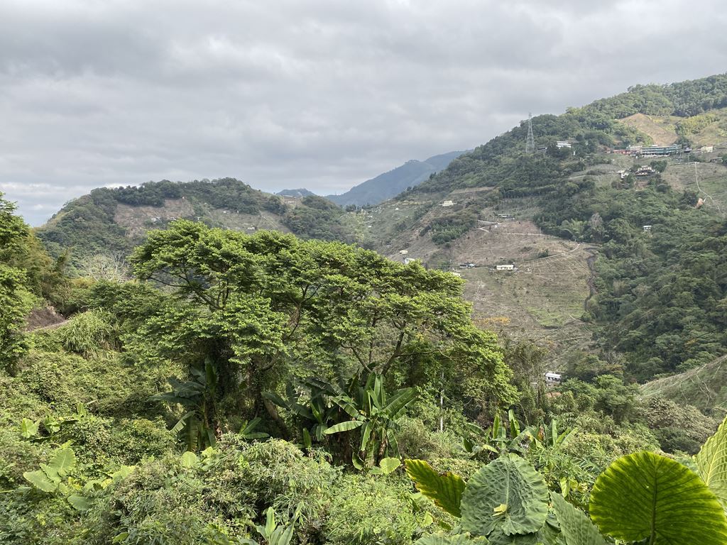 物件照片的縮圖