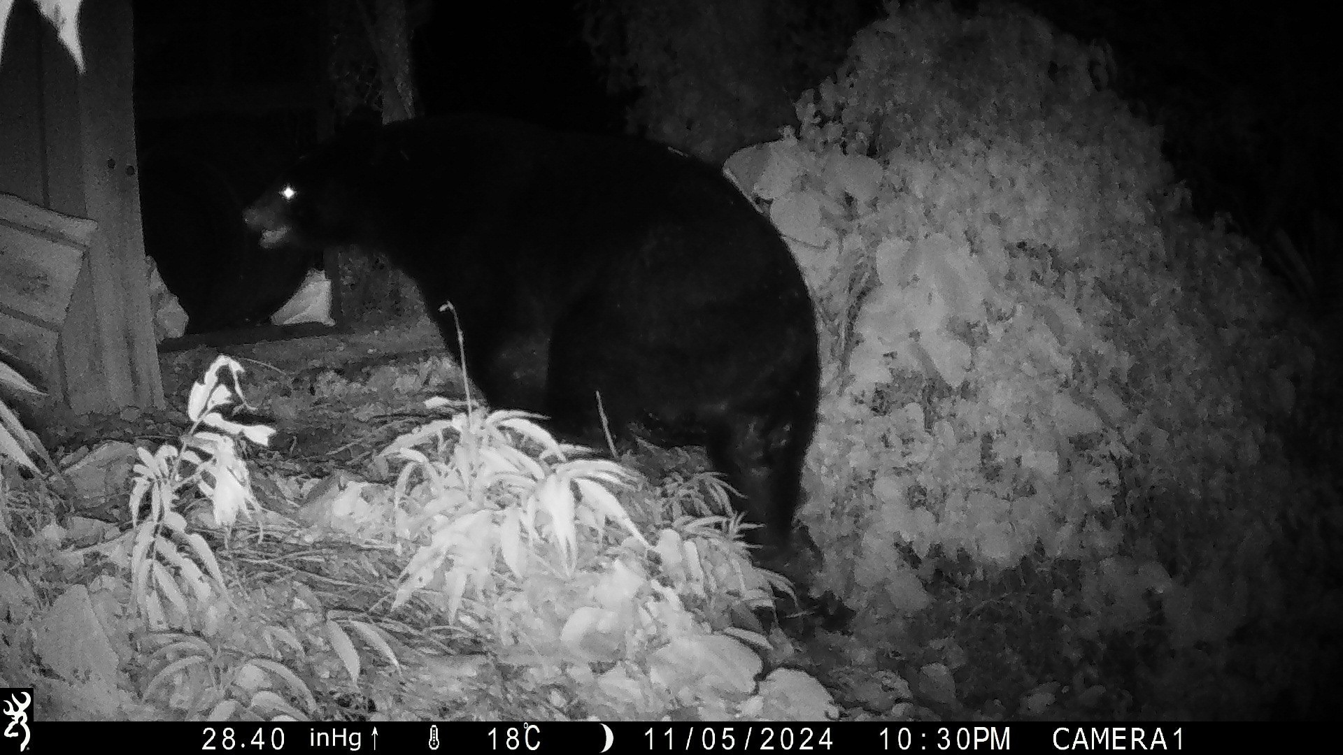 物件照片的詳細放大