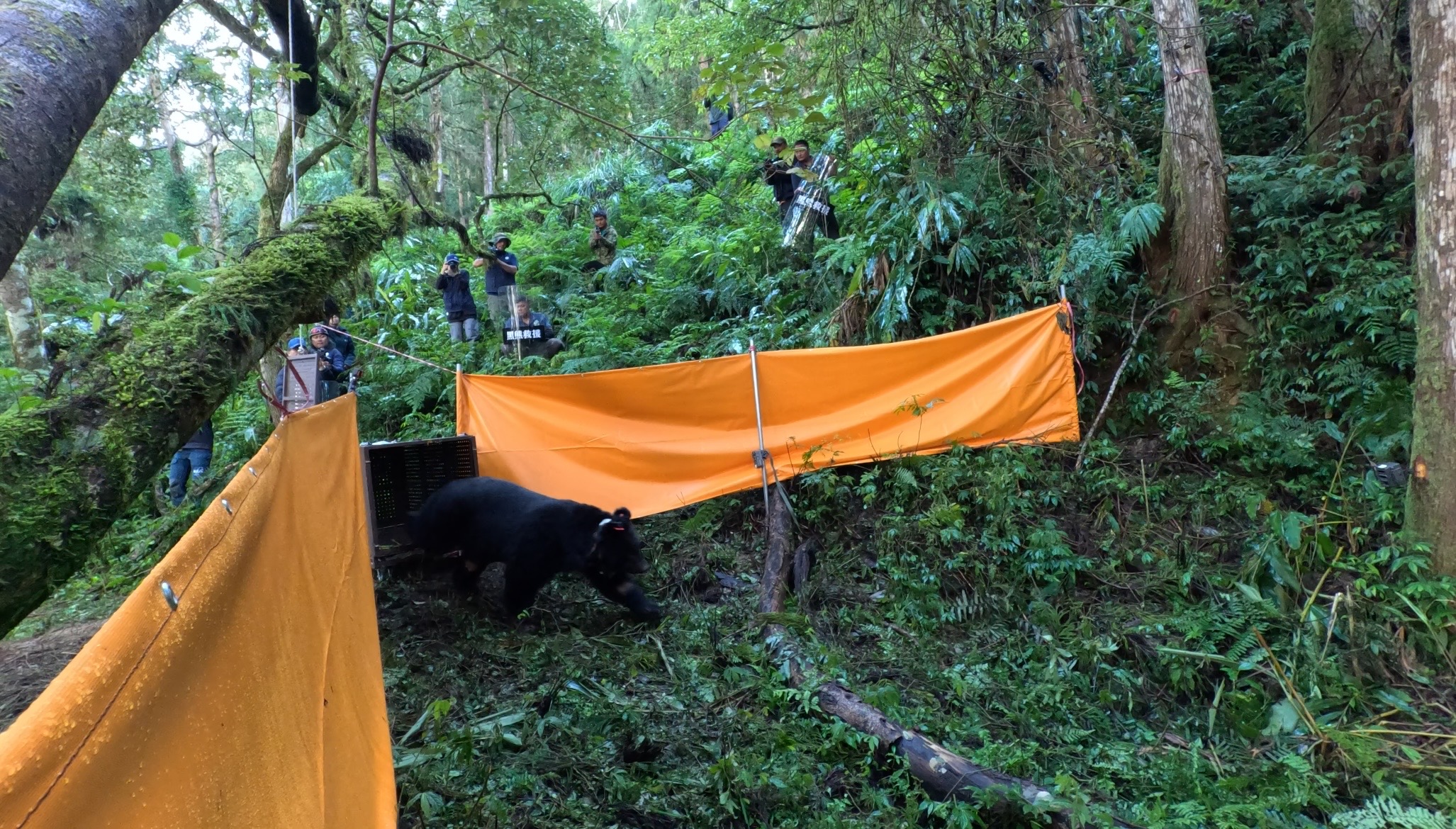 物件照片的詳細放大