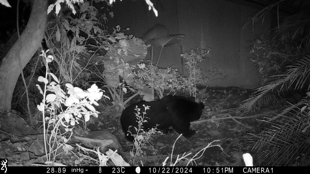 物件照片的縮圖