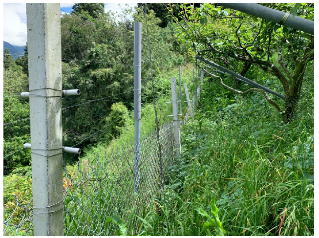 物件照片的詳細放大