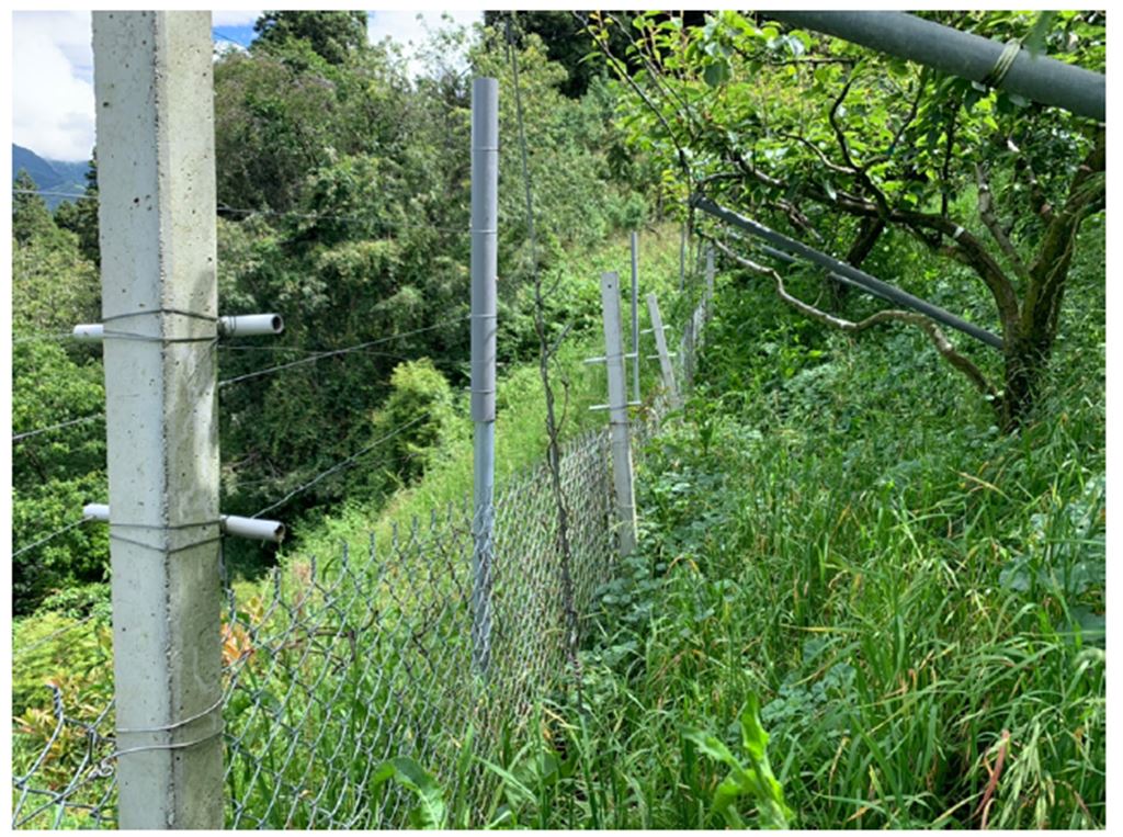 物件照片的縮圖