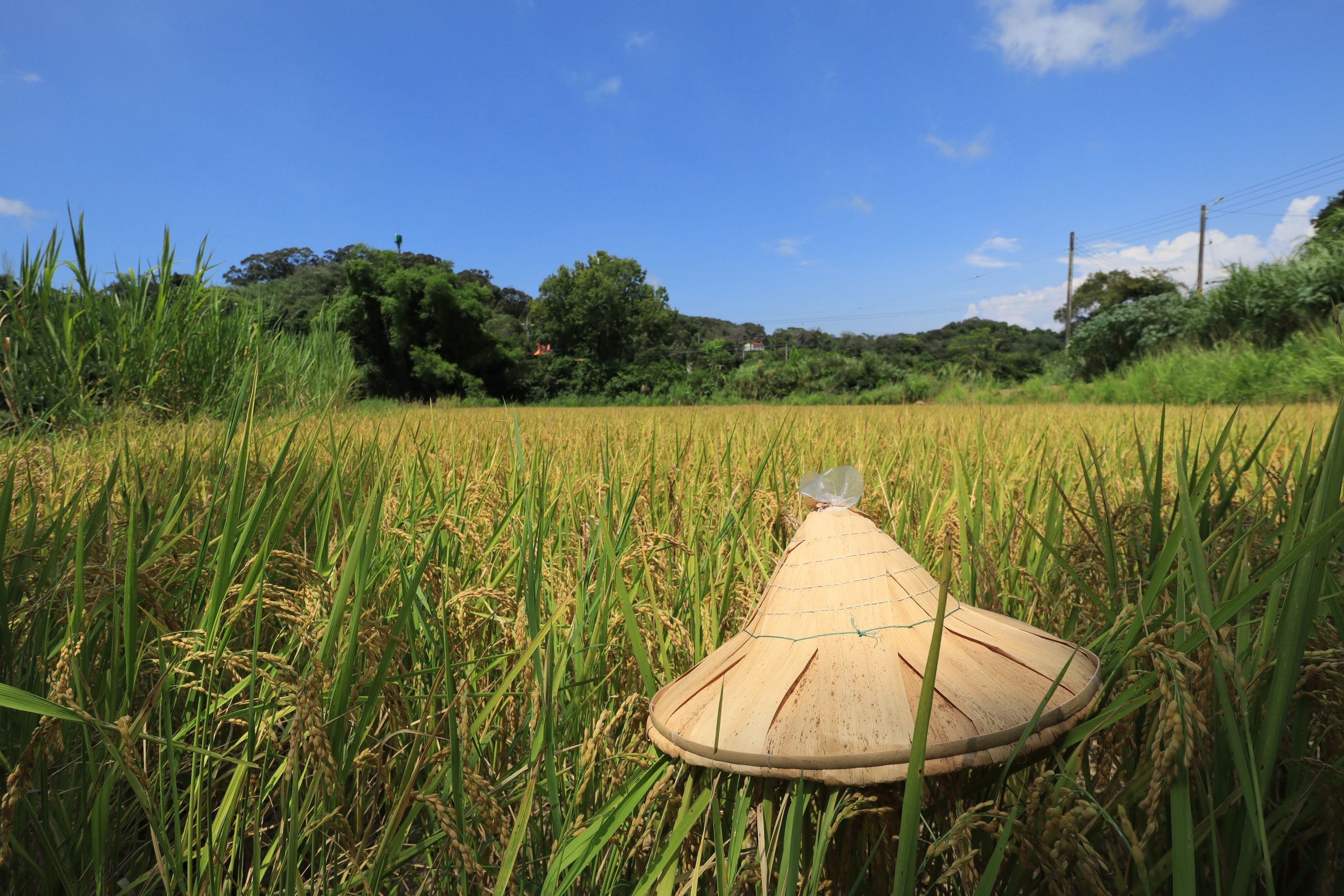 物件照片的詳細放大