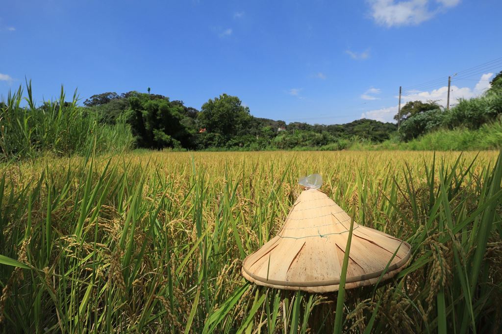物件照片的縮圖