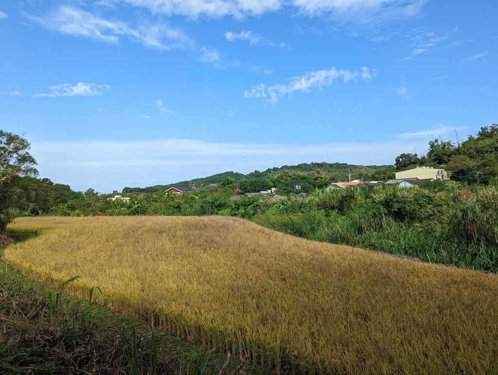 物件照片的縮圖